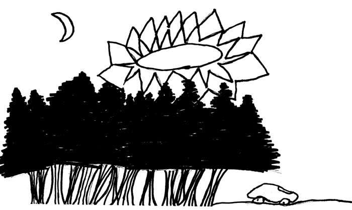 "Did You See What I Think I Saw?" - Illustration by Willow A. Hanff "Did You See What I Think I Saw?" - Illustration by Willow A. Hanff: A car drives down a wooded road at night when a bright, magnificent oval light appears in the sky