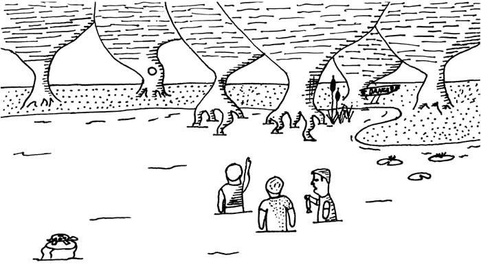"Life or Candy?" illustration by Nathan Little "Life or Candy?" illustration by Nathan Little: Three boys stand waist-deep in a pond while one points toward a sign that says "DANGER"