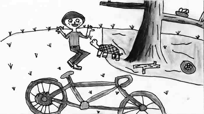 Turtle Trouble Turtle Trouble illustration by Hannah R. Anderson: boy has jumped off his bicycle, happy to find a turtle