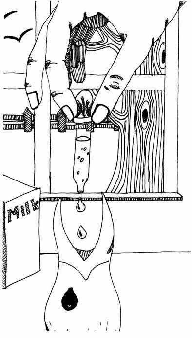 "Uncle John's Pet Crow" illustration: "Uncle John's Pet Crow" illustration: A hand on a dropper drips milk into a baby bird's open beak.